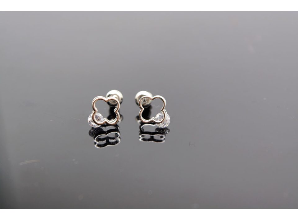 Stud earrings made of 925 silver, in the shape of a flower with rhinestones, in silver color.